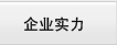 企業(yè)實(shí)力